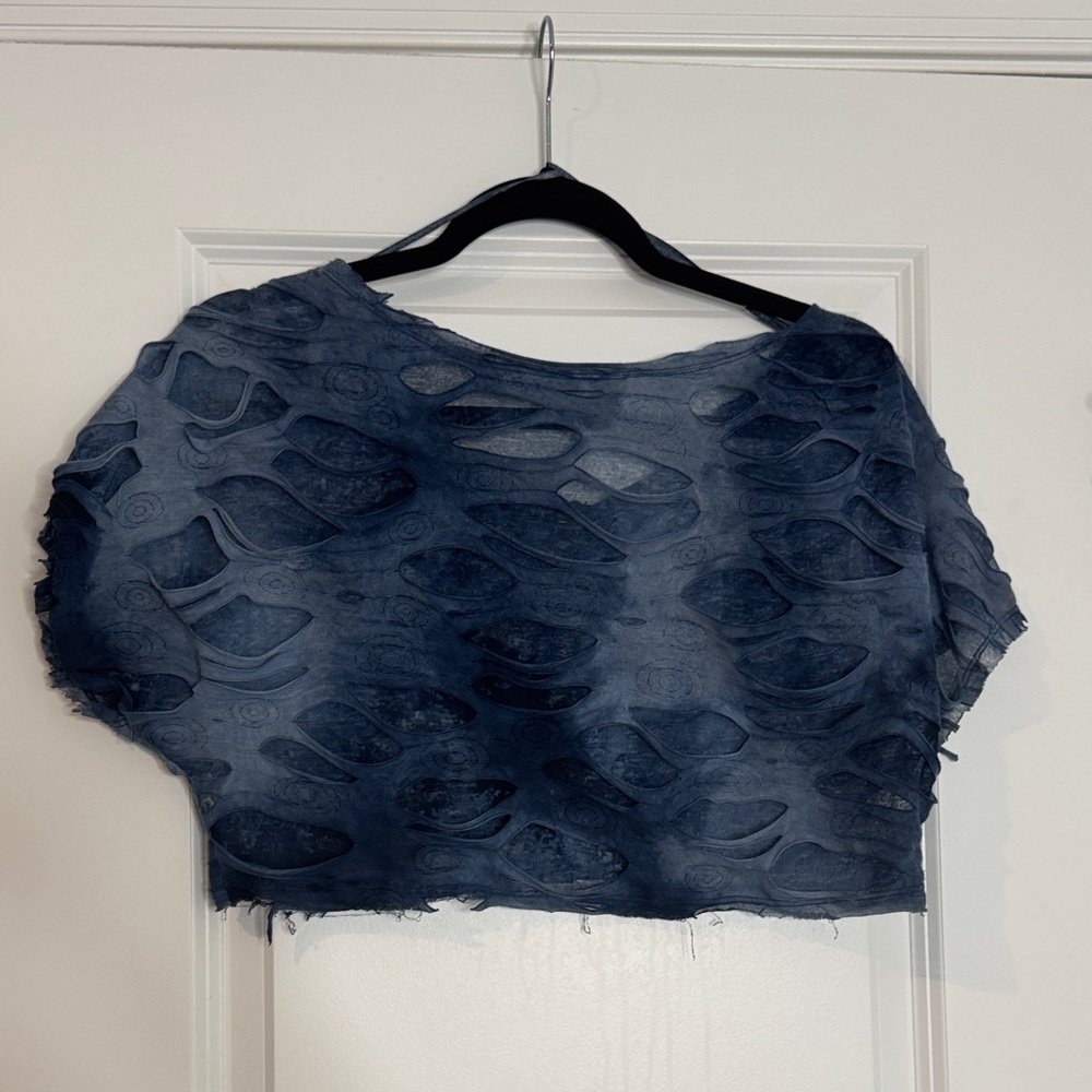 Stylish Blue Sheer Women's Top